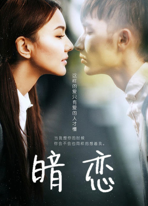 汉堡法学院Diploma